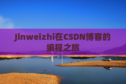 Jinweizhi在CSDN博客的编程之旅